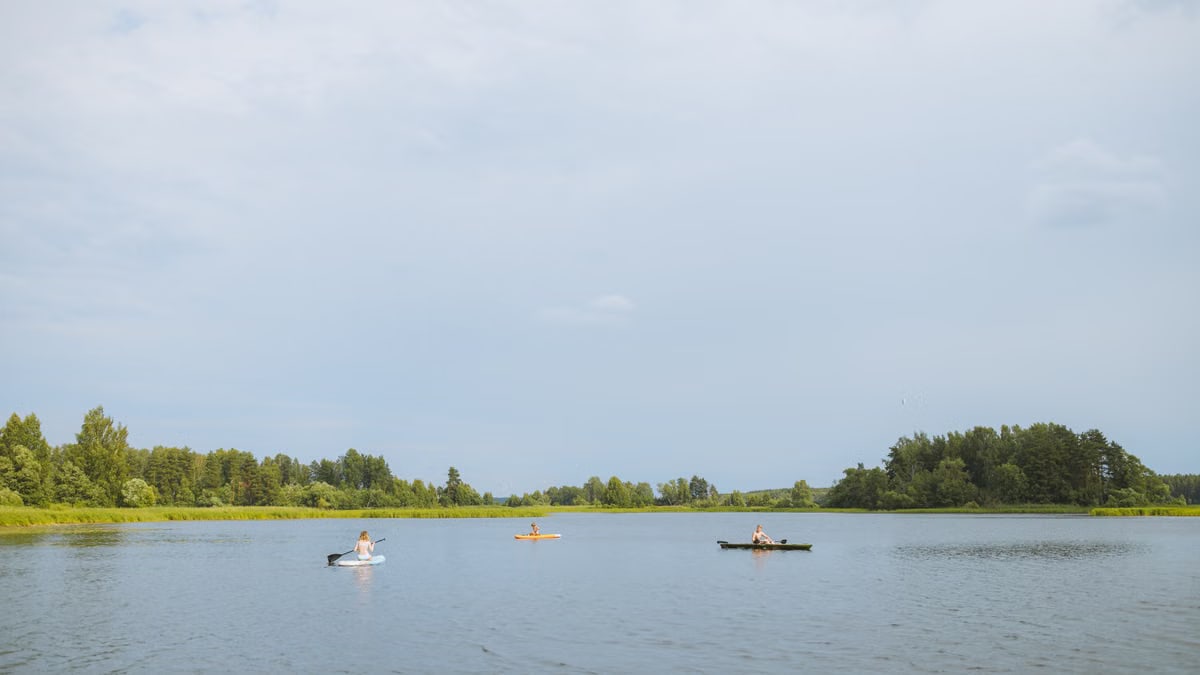 Three kayakers paddle along a calm river surrounded by lush greenery under a clear sky.